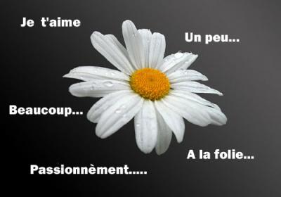 Moi je ne c pa et toi ?